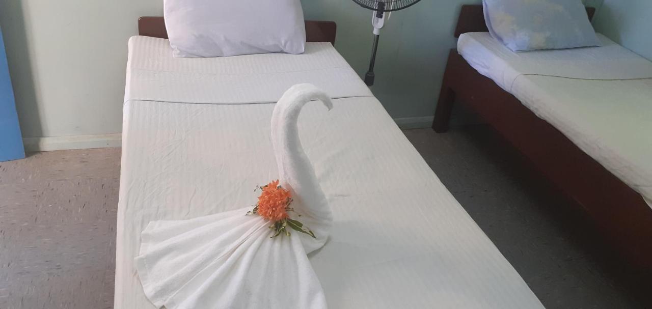Rekona Lodge Gizo Bagian luar foto